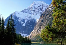 国际米兰对阵佛罗伦萨：豪门对决