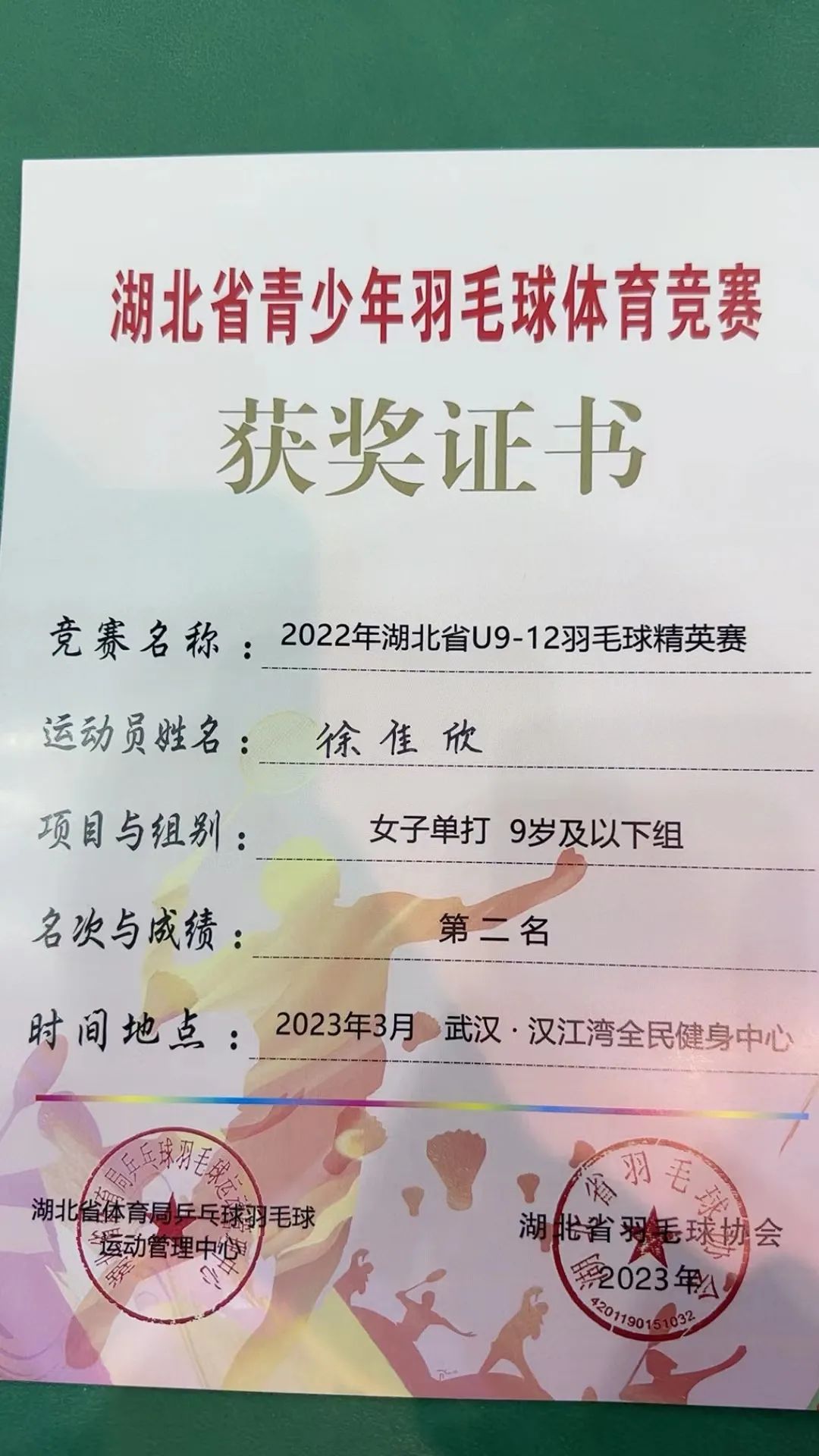 aoa体育-游泳比赛取得佳绩，荷兰小将斩获多面金牌的简单介绍